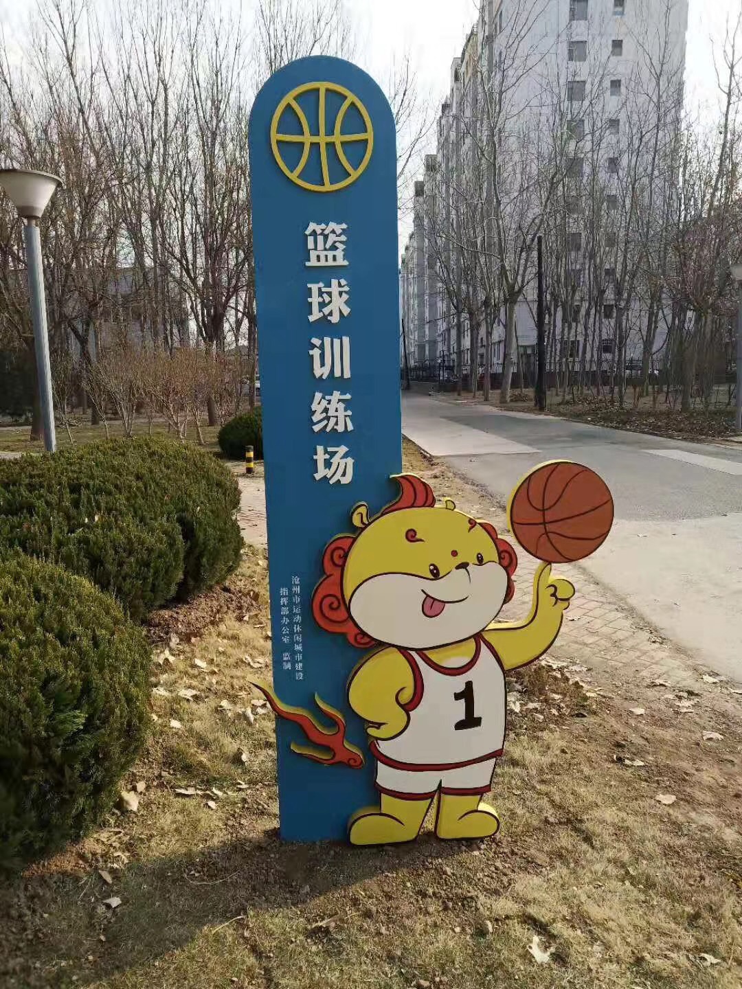 1 / 6  拍着篮球,练着武术,骑着单车,打着网球……近日,在市区迎宾