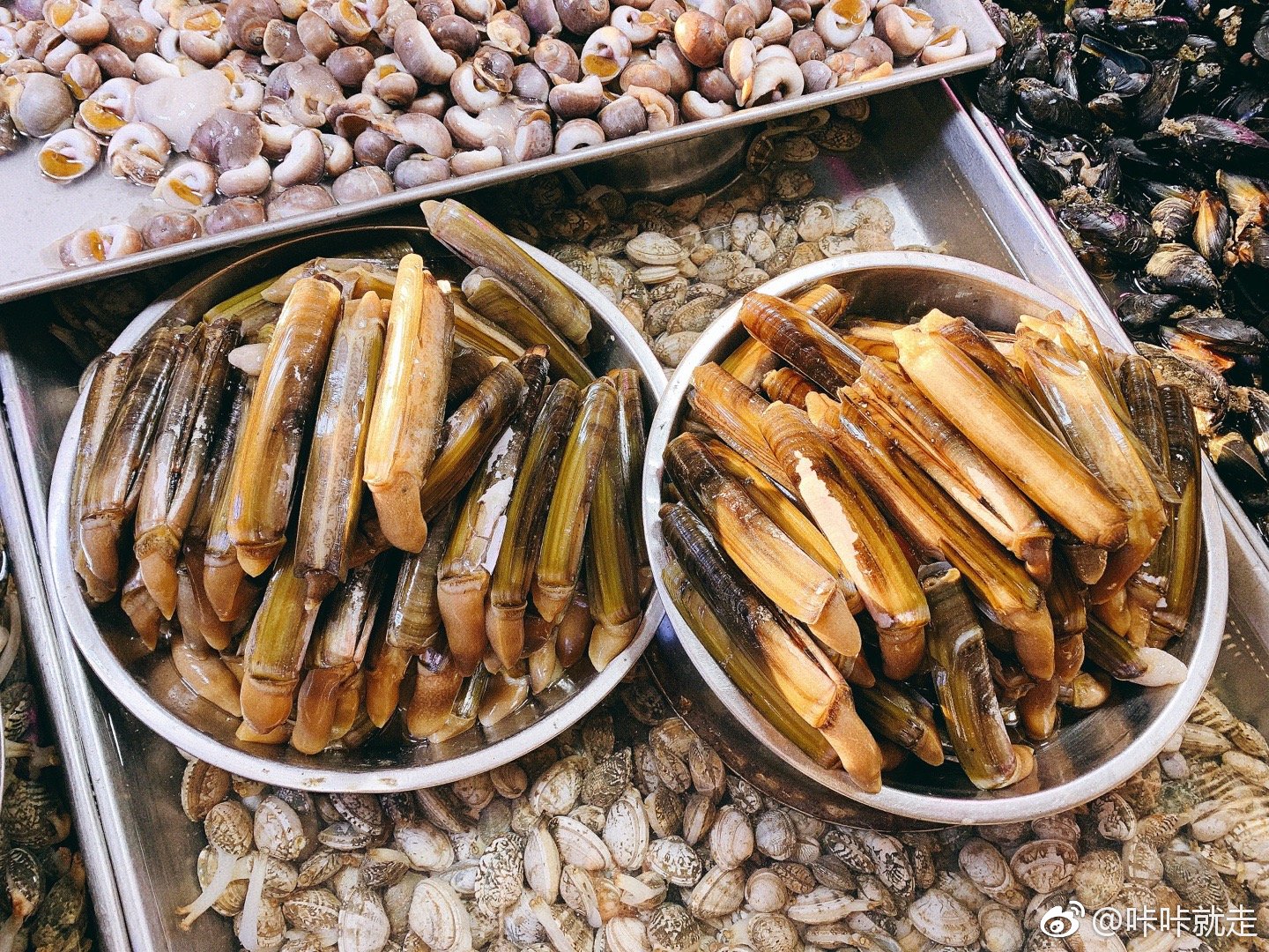 "哈啤酒,吃gala"是青岛本地人的日常小确幸