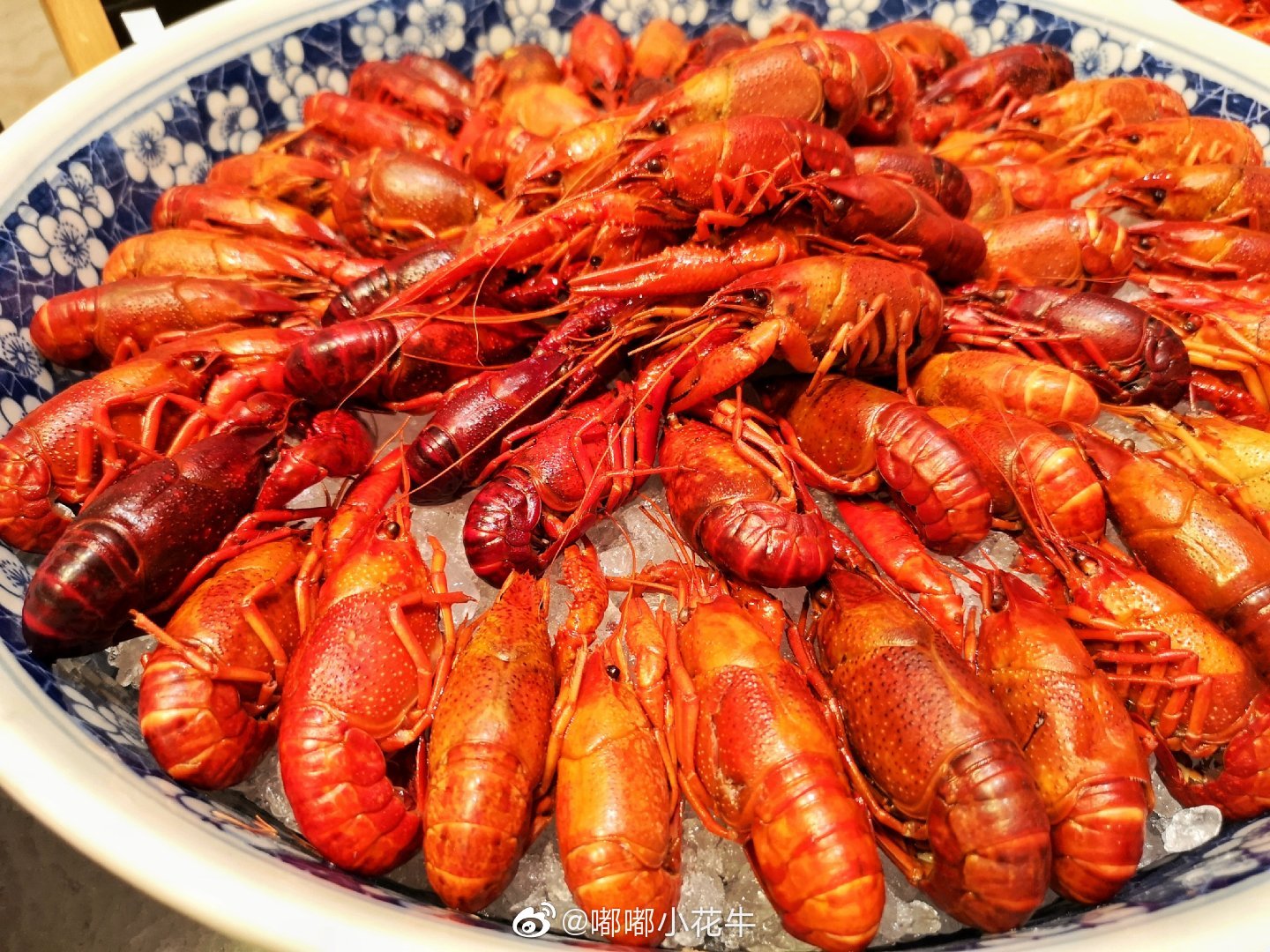 来自江苏金湖的鲜活小龙虾来到长春香格里拉