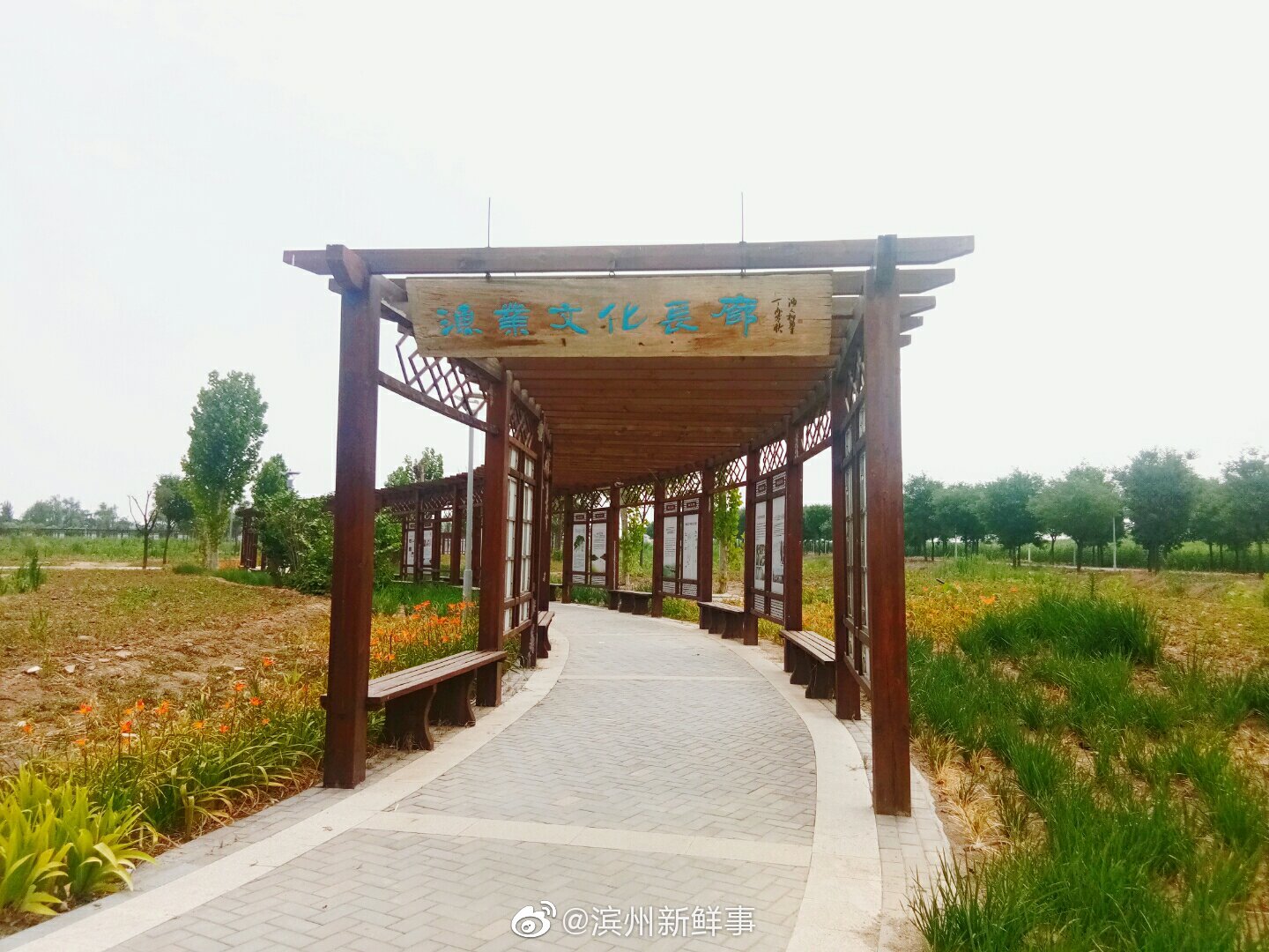 博兴麻大湖国家湿地公园