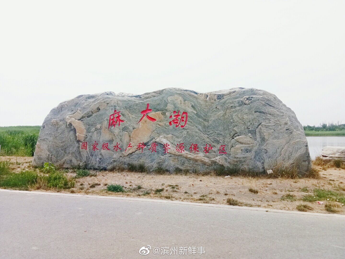 博兴麻大湖国家湿地公园