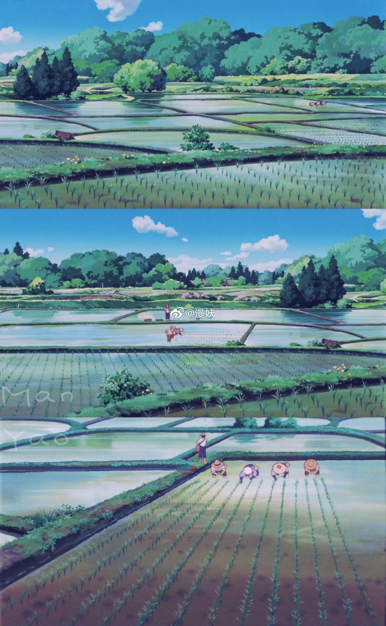 自截动漫场景图宫崎骏动画龙猫中的夏天