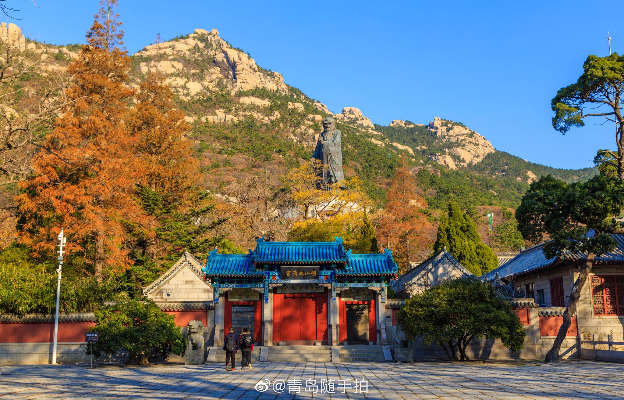 冬已至,秋未远,崂山太清宫 | 青岛摄影/@银杏儿a