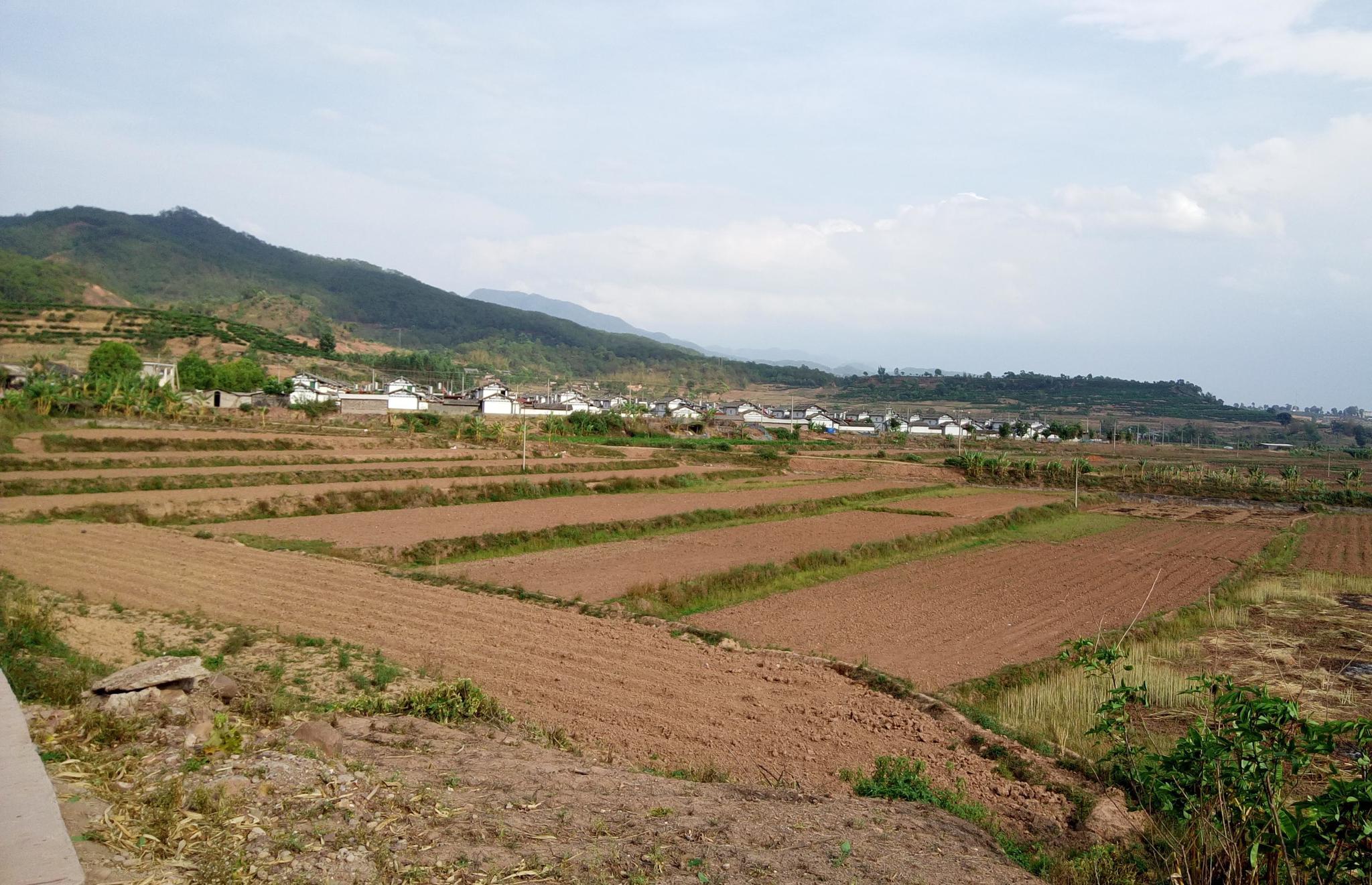 农村土地闲置现象"愈演愈烈",为啥?农民不种地怎么养活自己?