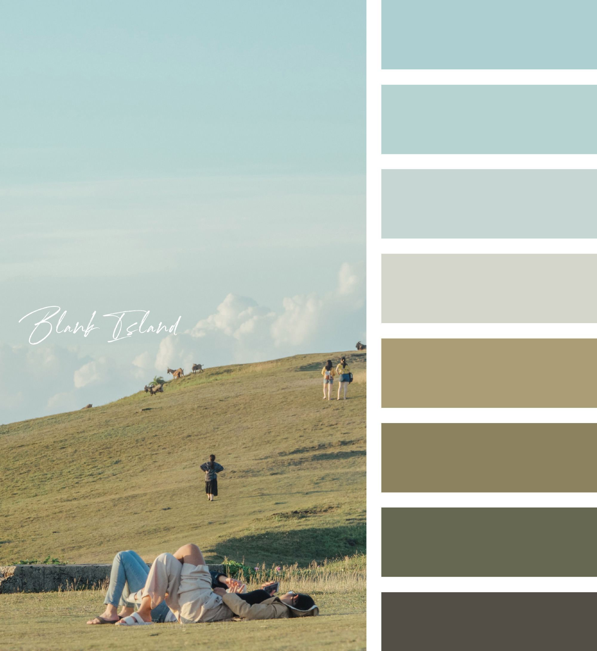 摄影配色卡·留住温柔