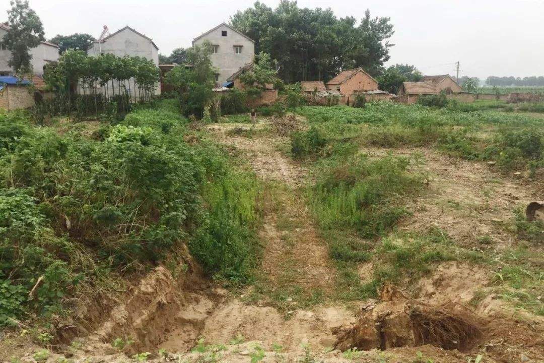 农村土地闲置现象"愈演愈烈",为啥?农民不种地怎么养活自己?