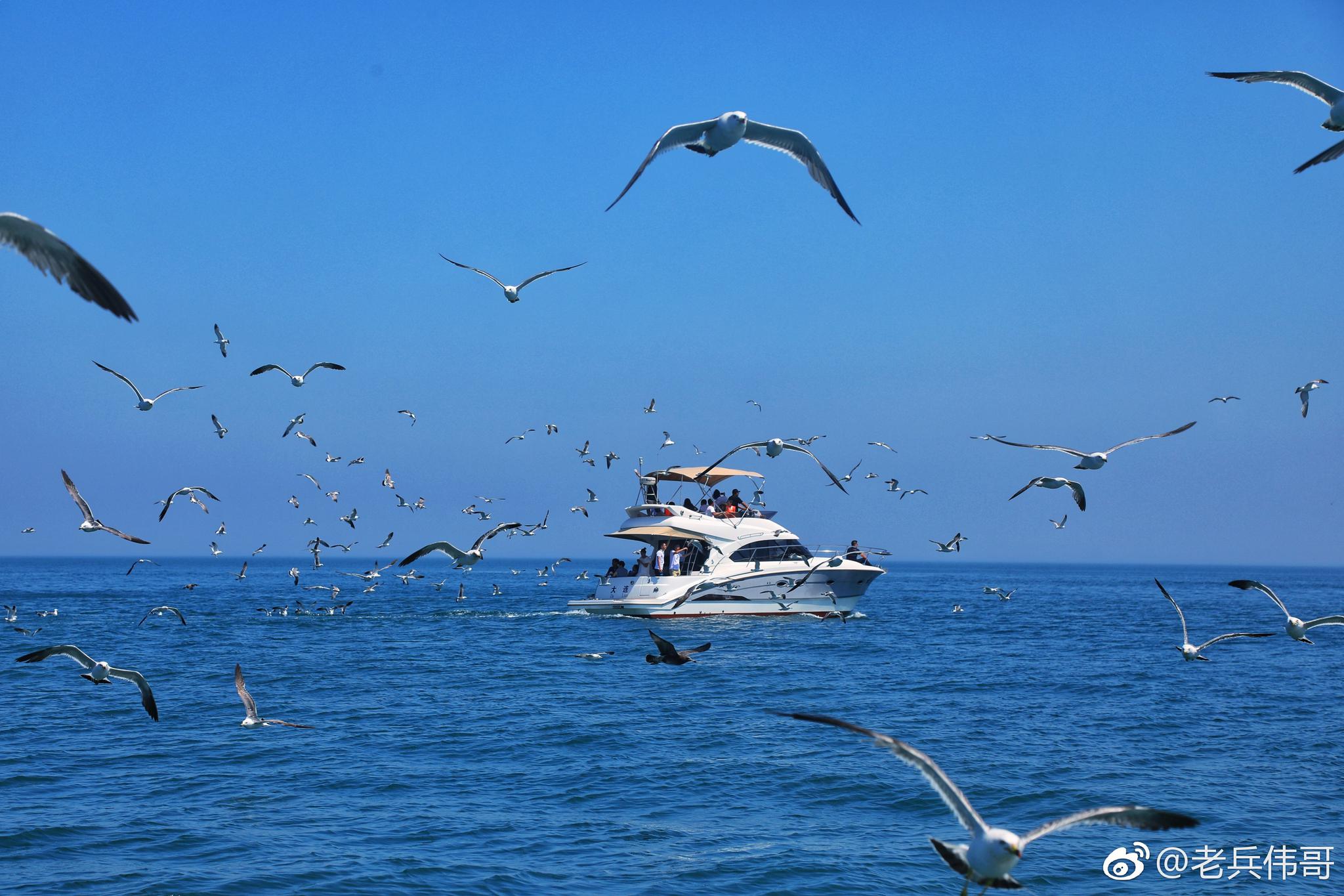 遇见大连 旅顺海猫岛