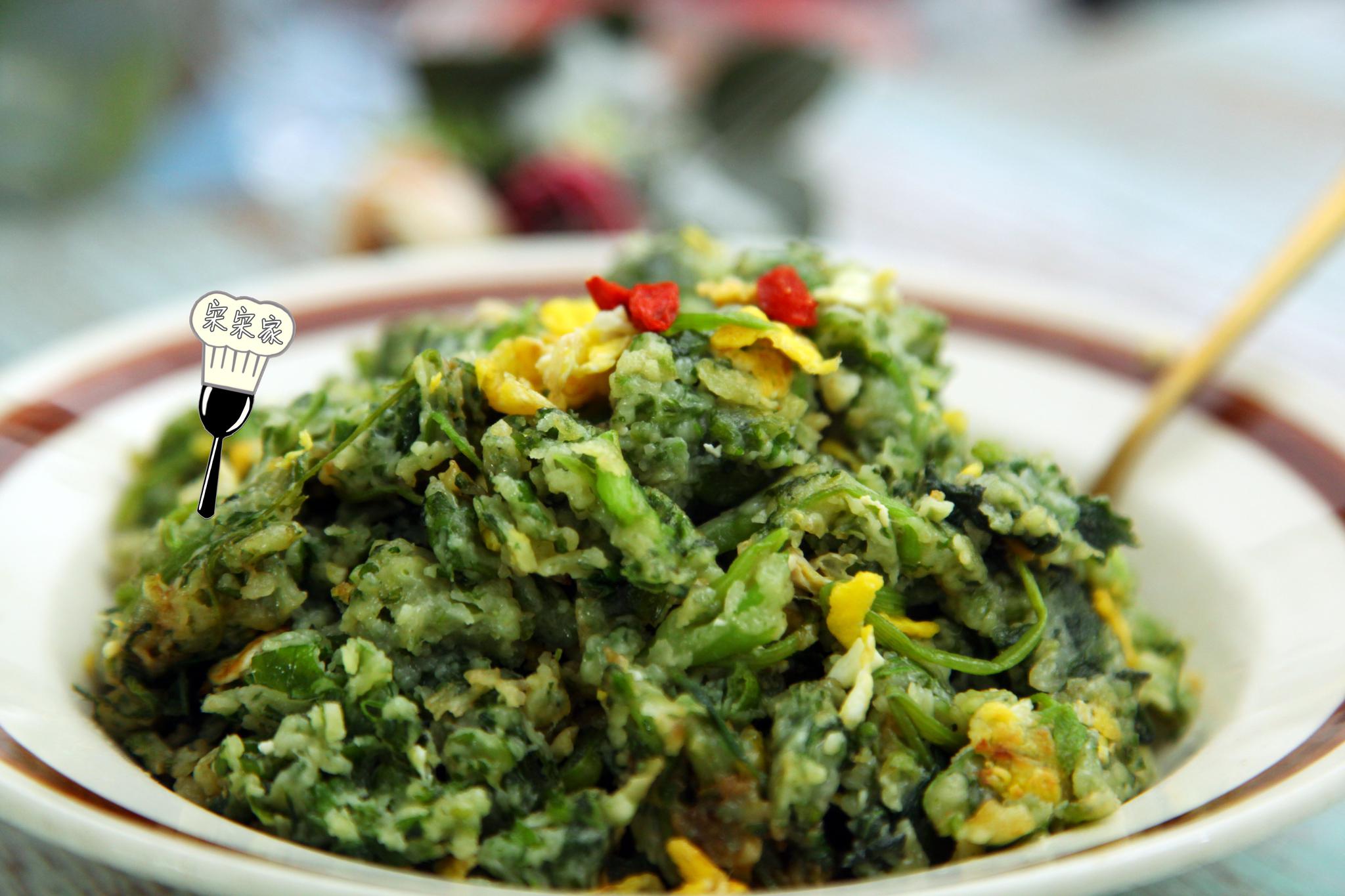 南瓜苗|戒烟|南瓜藤_新浪新闻