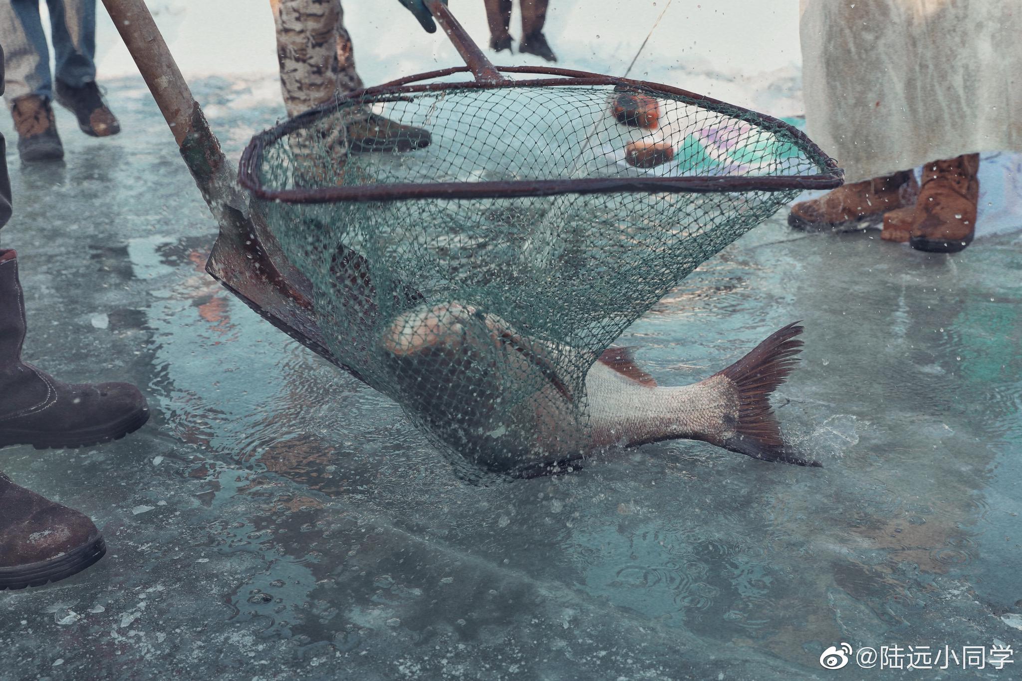 在东北,不止有查干湖冬捕,各地的冬捕活动也是热闹非凡