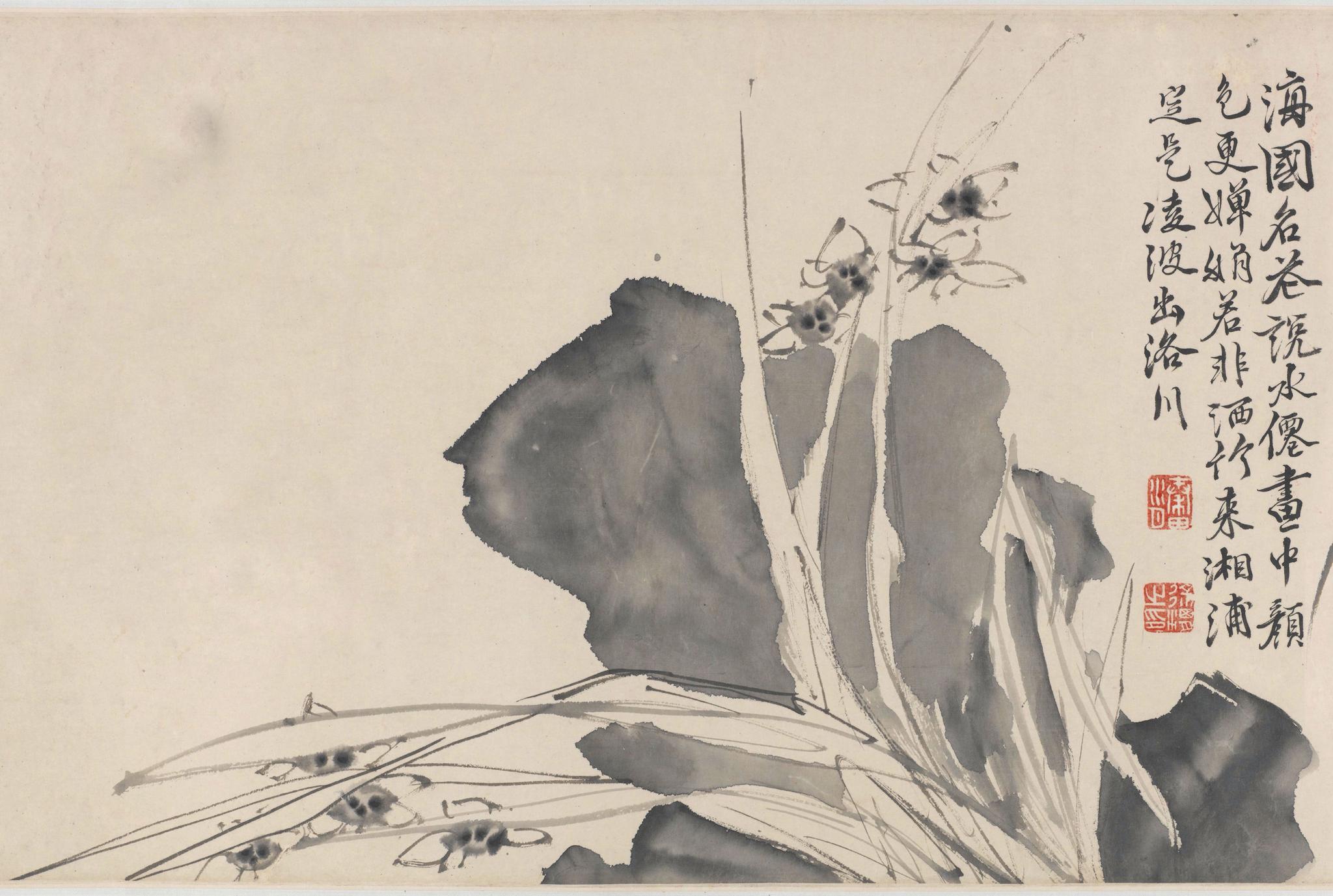 平生只为花低头丨徐渭花卉卷