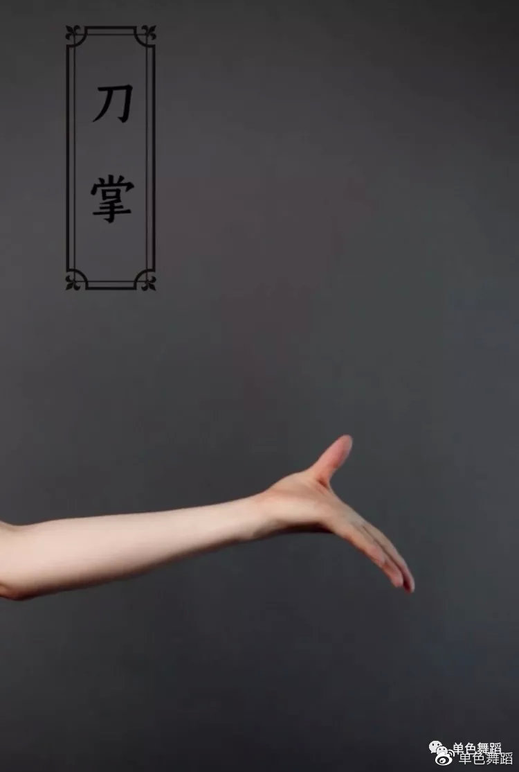 古典舞入门带你认识古典舞中的手型