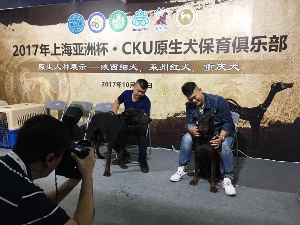 2019年世界杯犬展将在上海举行