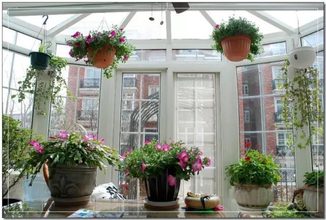 玻璃花房,庭院爱好者的天堂