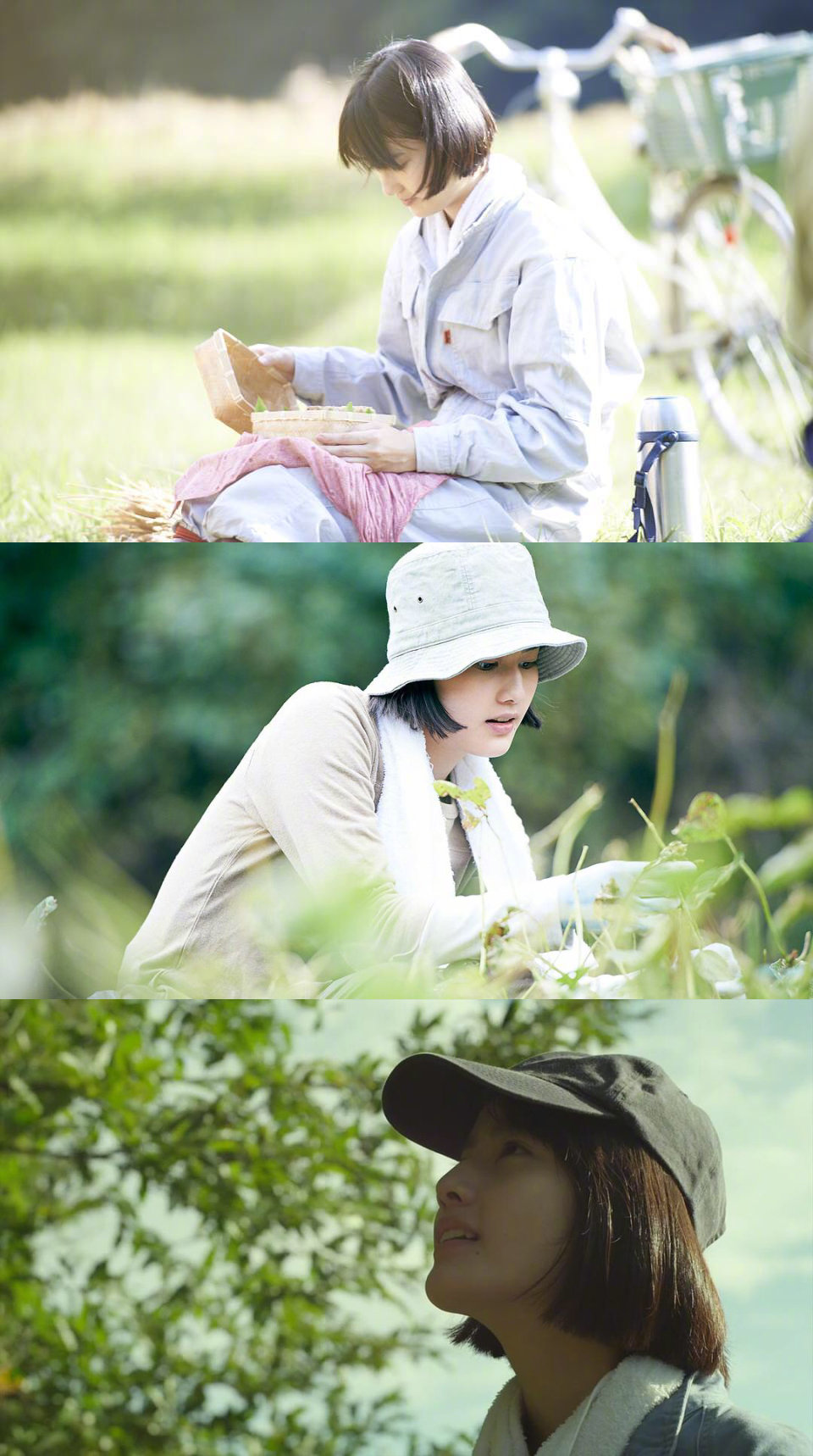 电影小森林夏秋篇每一帧美得像壁纸