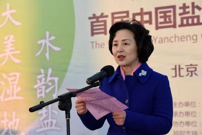 中共盐城市委常委,宣传部部长吴晓丹致辞.(王金成 摄)