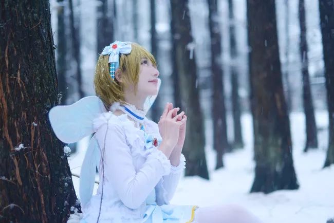 cos:雪中的小泉花阳,想做雪中的精灵!|精灵|小泉|橙子_新浪新闻