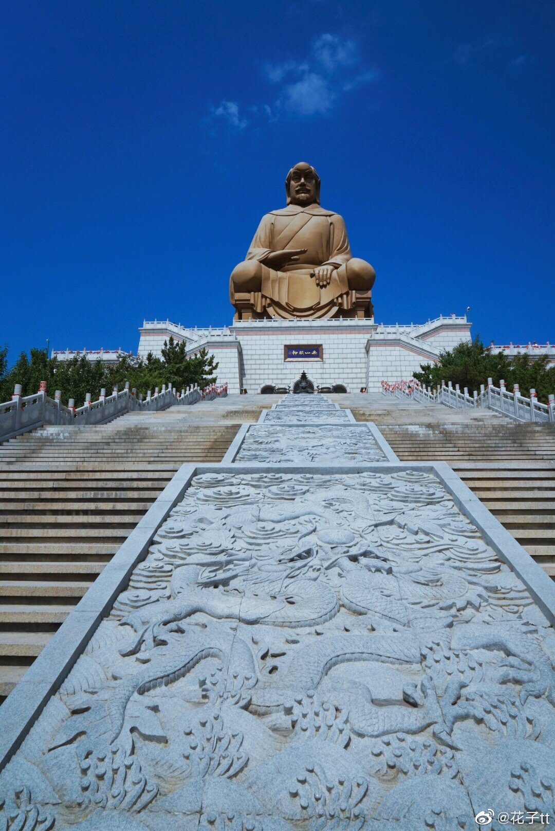 周末乘高铁去威海避了个暑,石岛赤山的森林覆盖率超过90%哦