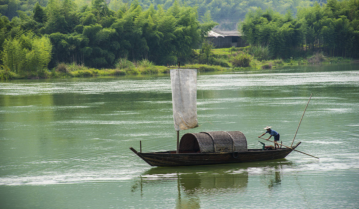 晴空一鸟渡,万里秋江碧