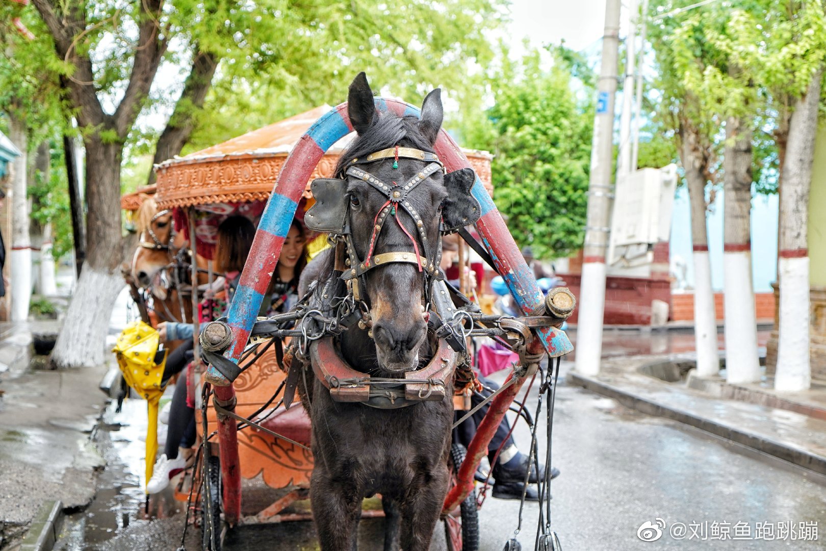 在雨中,坐着马车游伊犁民俗街区,是融入本地风情最好的方式