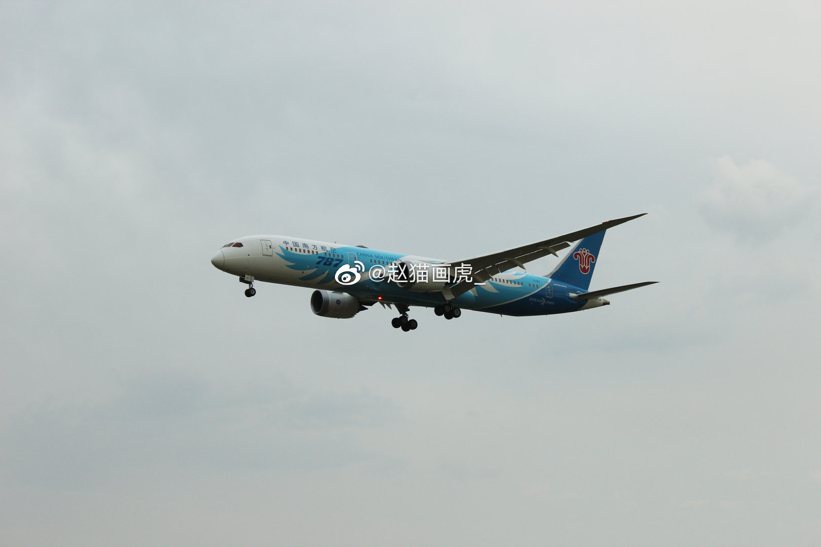 打卡网红拍摄飞机绝佳地点。@航空物语