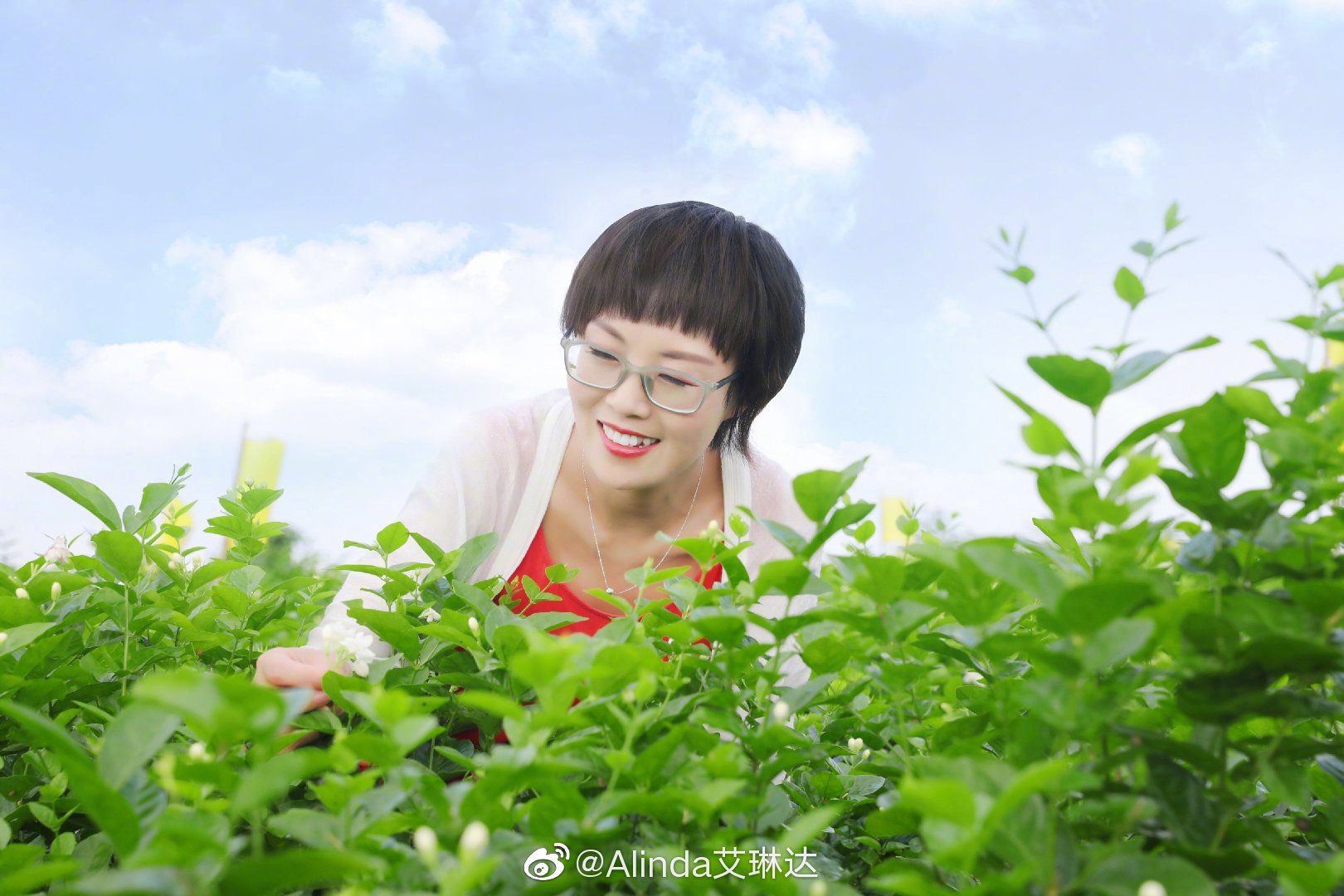 女生不管多少岁,看到花就走不动路了有木有|茉莉花|女生|一朵_新浪