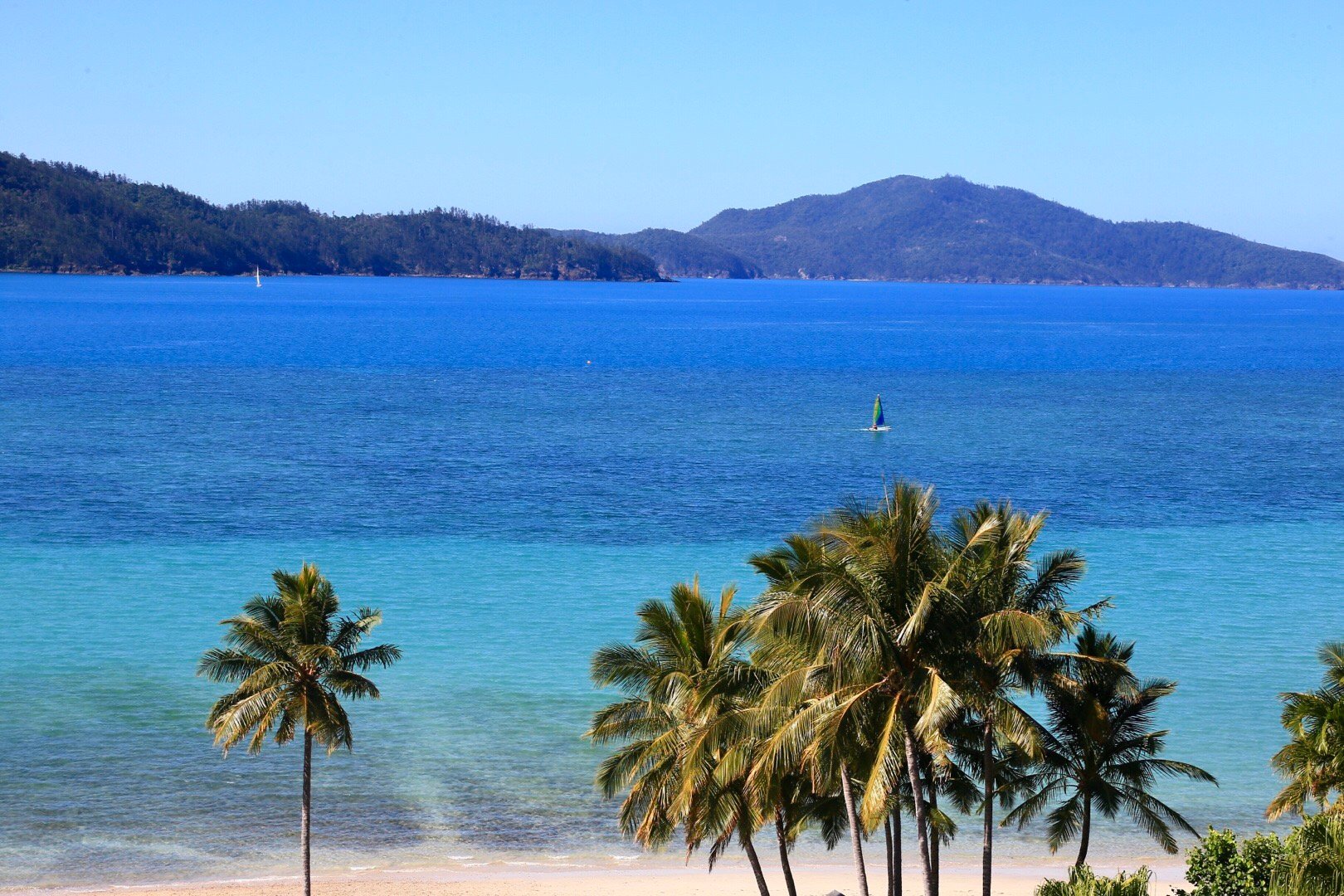 在澳大利亚hamilton岛,最不缺的就是海景,不论是酒店还是公寓