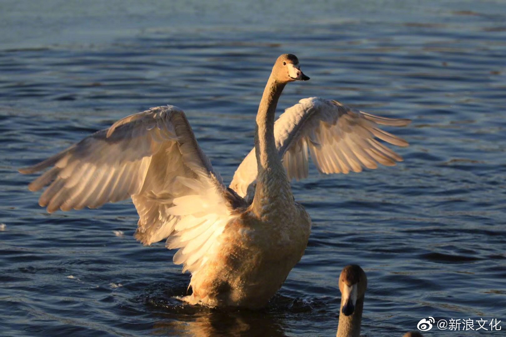 高清图集_新浪网