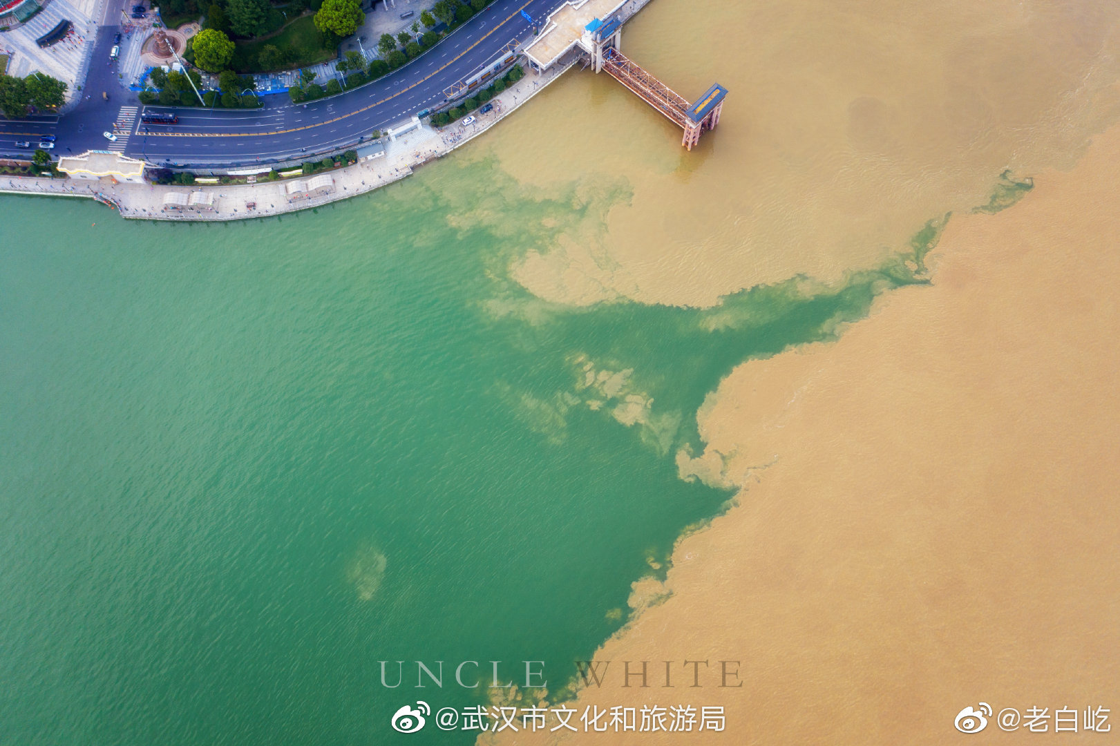 泾以渭浊,观两江(长江、汉江)交汇之奇观。拍摄地|汉江_新浪新闻