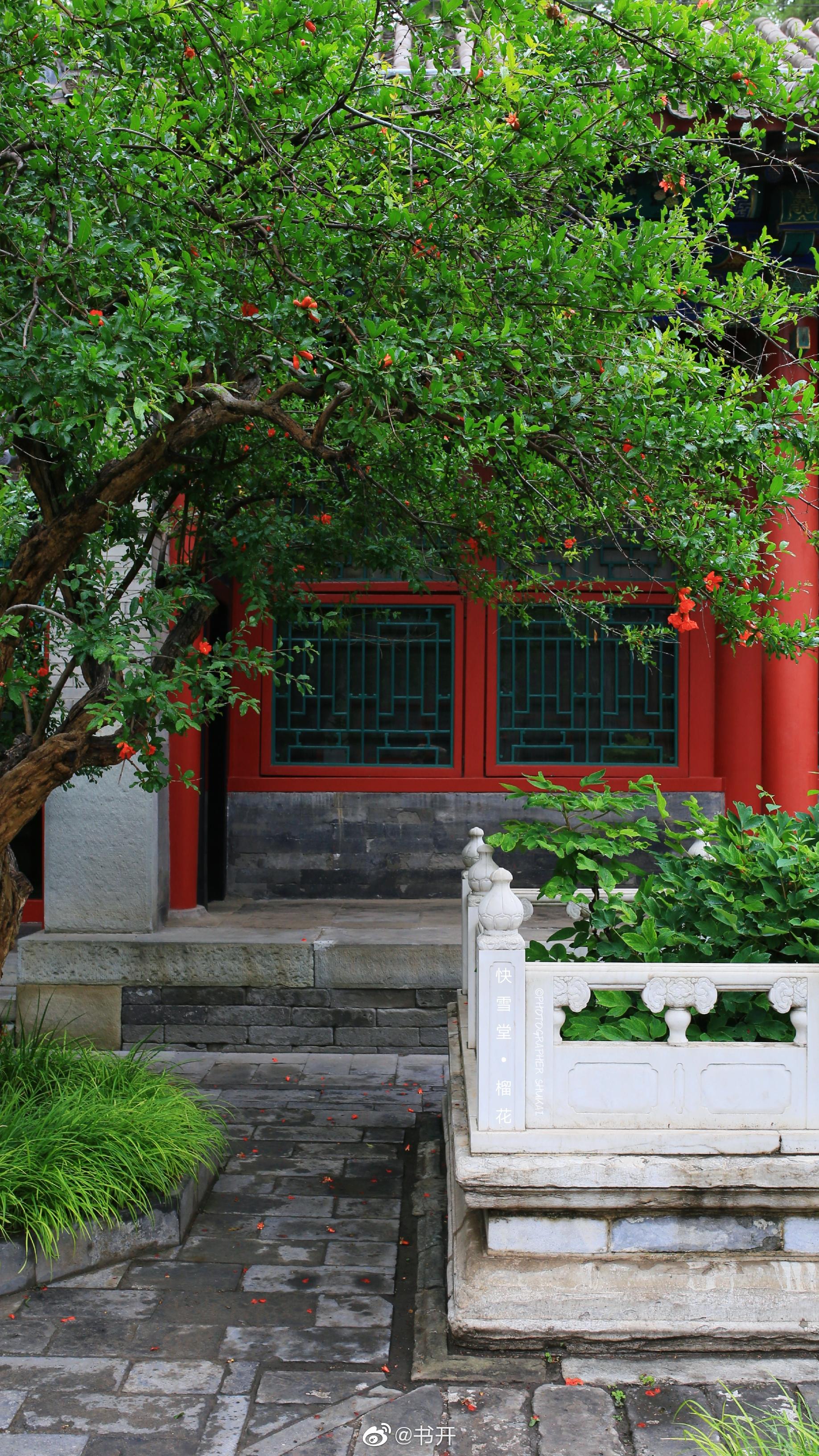 庭下石榴花乱吐 满地绿阴亭午 庭下石榴花乱吐 满地绿阴亭午