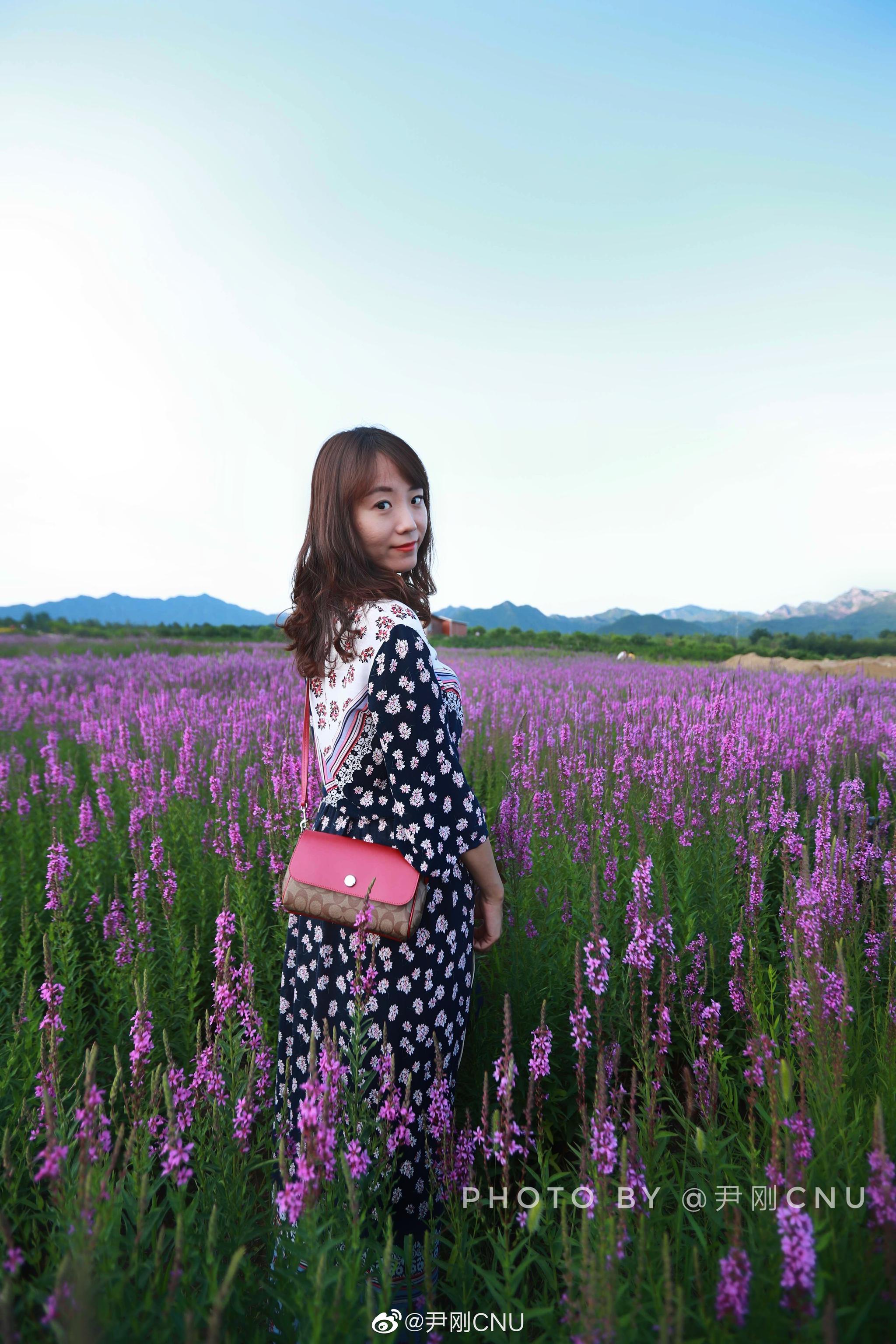 北京昌平 @爱上昌平 十三陵七孔桥花海@微相册 @微博摄影