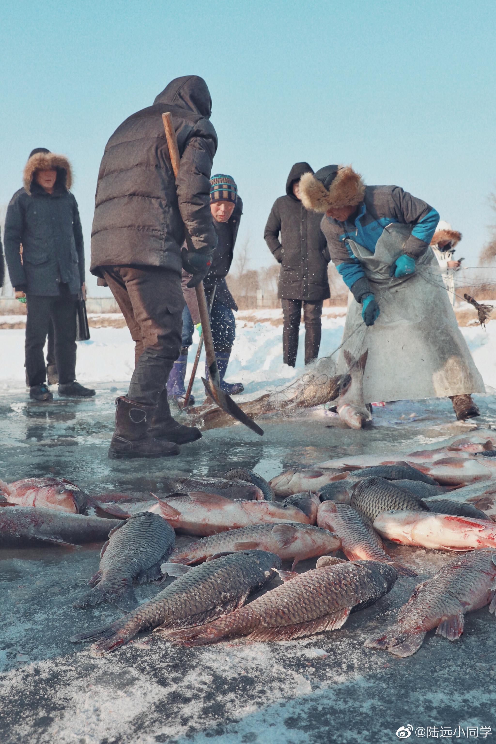 在东北,不止有查干湖冬捕,各地的冬捕活动也是热闹非凡