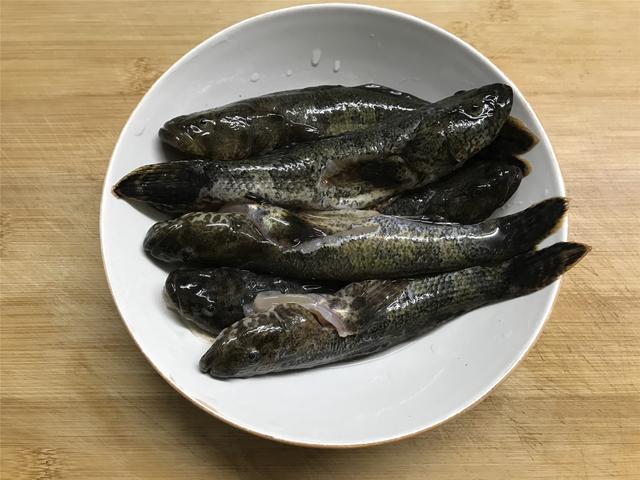 见到这鱼我必买,鲜嫩味美,65元一斤,再贵也值得买来尝一尝|鳢|沙塘