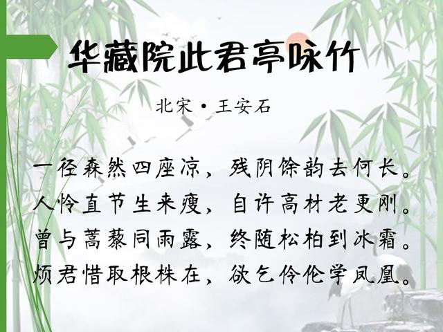 16首著名咏竹诗,第一首就很值得背诵|竹子|竹都|郑燮_新浪新闻
