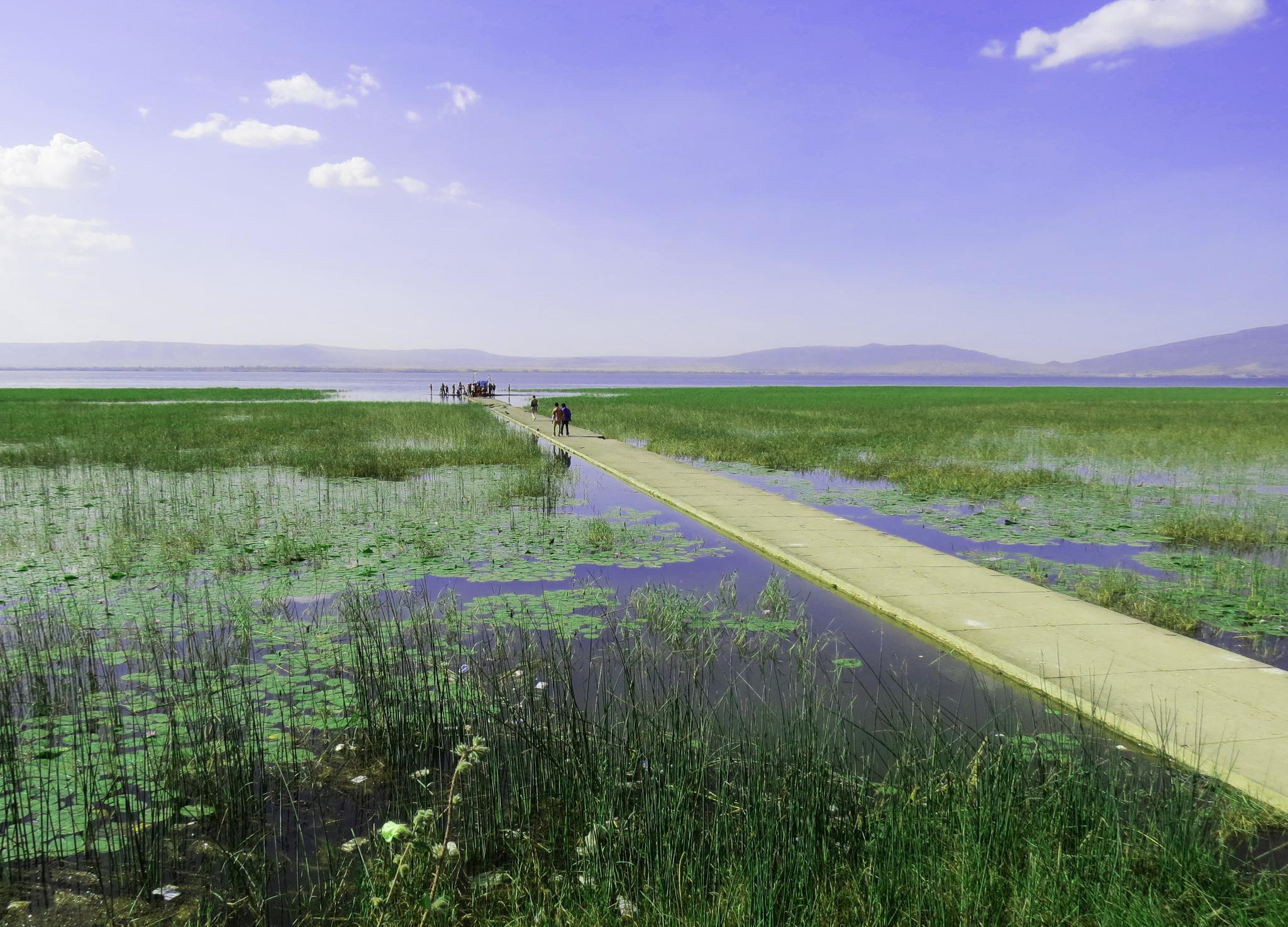 埃塞俄比亚的鱼市场,大平原上的龙卷风,埃塞的公路风光