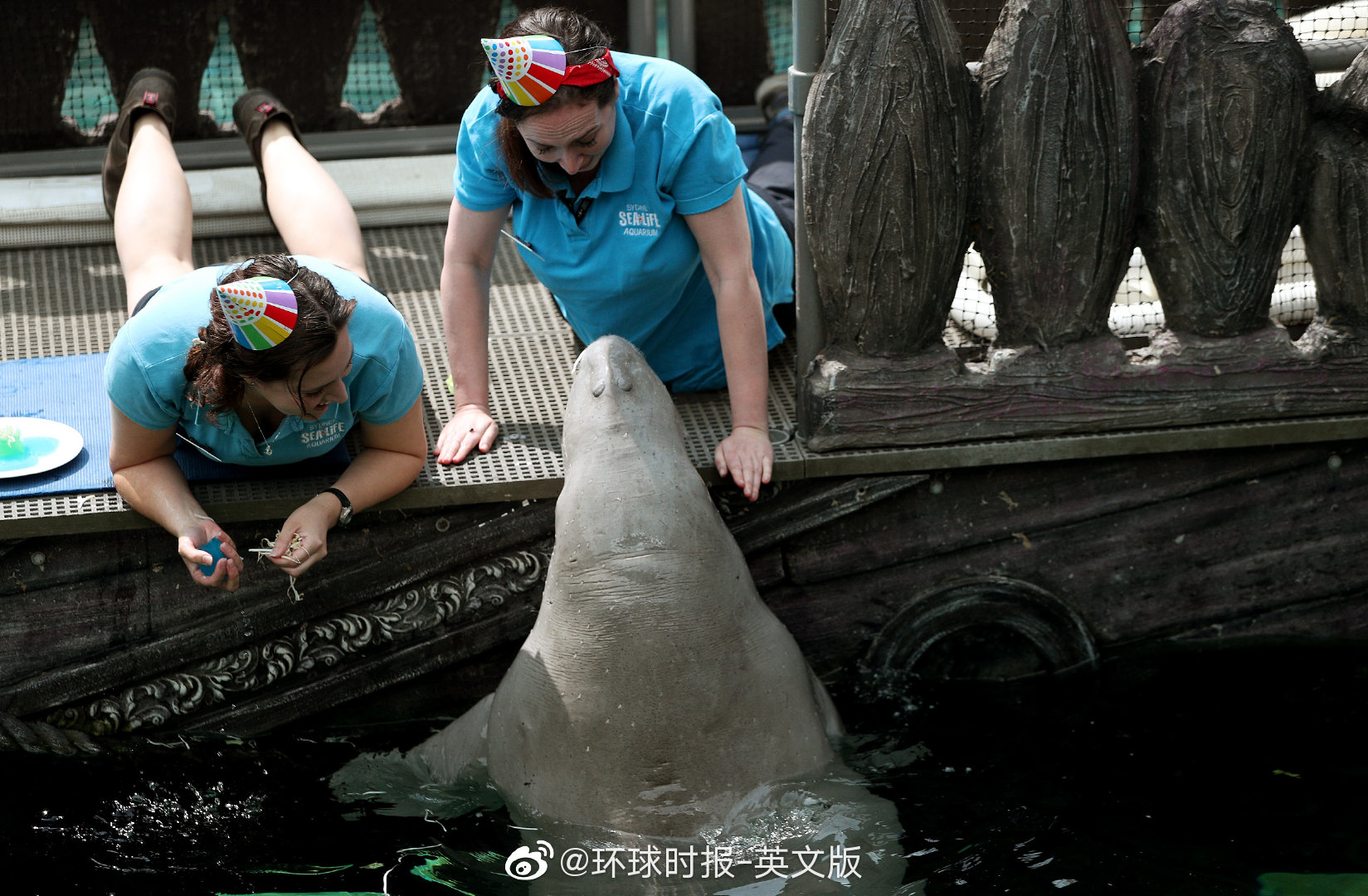 1 / 3 pig the dugong turns 21 on wednesday.