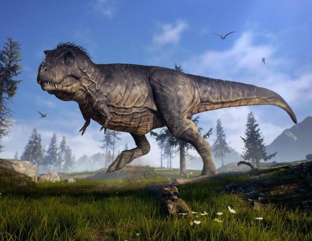 成动物霸主,却可能饿死