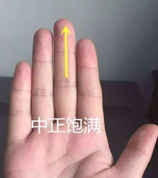 俗语小指短丢饭碗中指长小霸王啥意思古人的智慧之谈