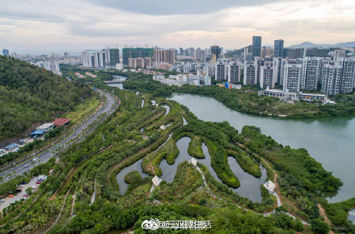 三亚红树林生态修复工程荣膺国际奖项 被评为2019az最佳景观奖