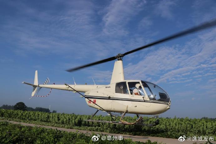 直升飞机喷洒农药 实施防控美国白蛾作业