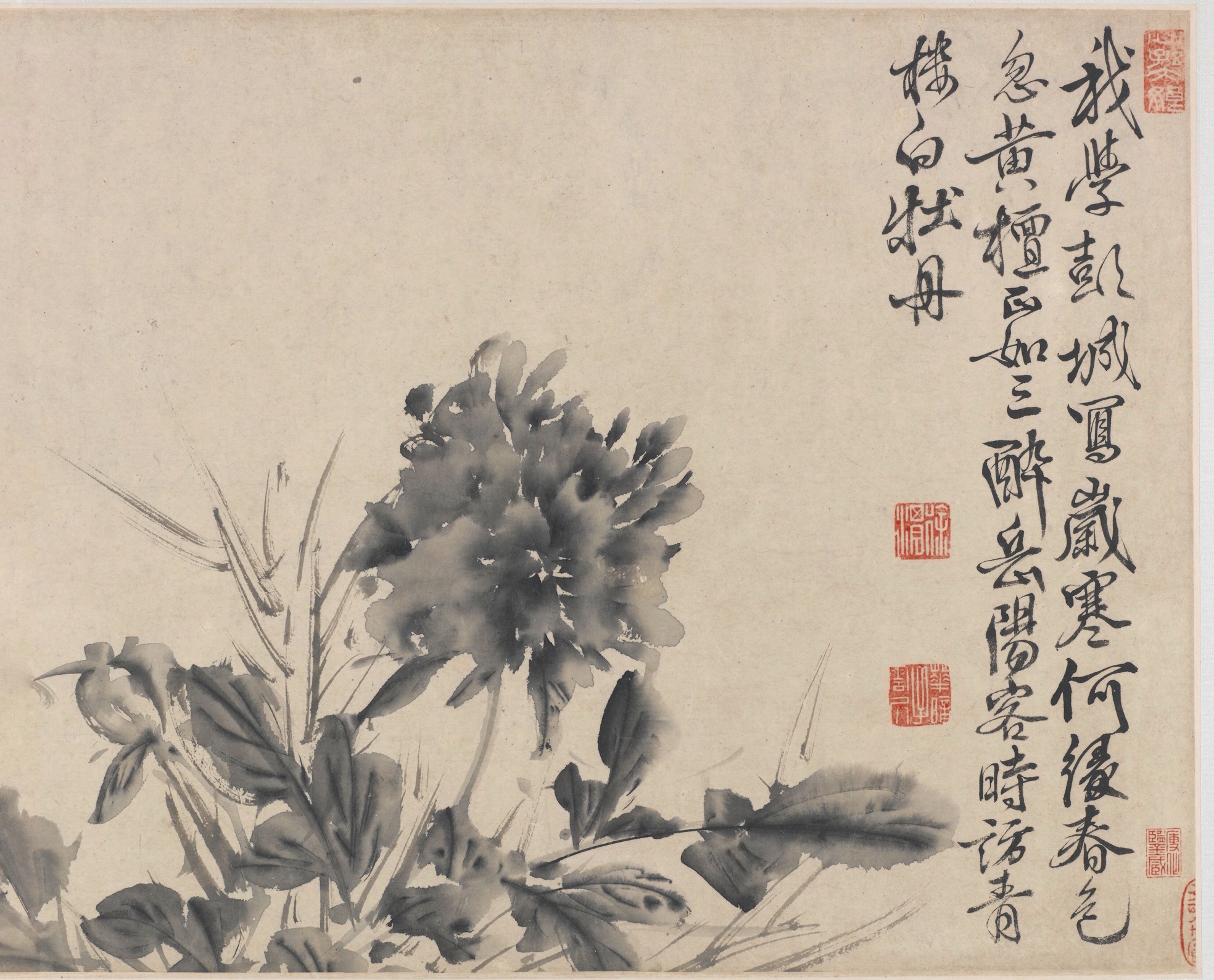 平生只为花低头丨徐渭花卉卷