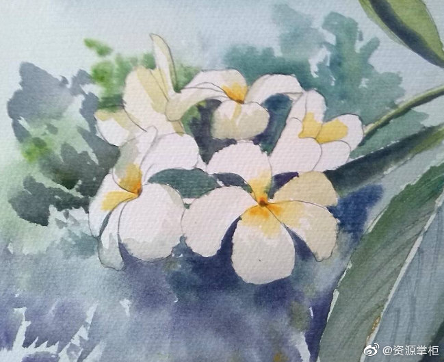 水彩画入门课程 水彩画入门课程