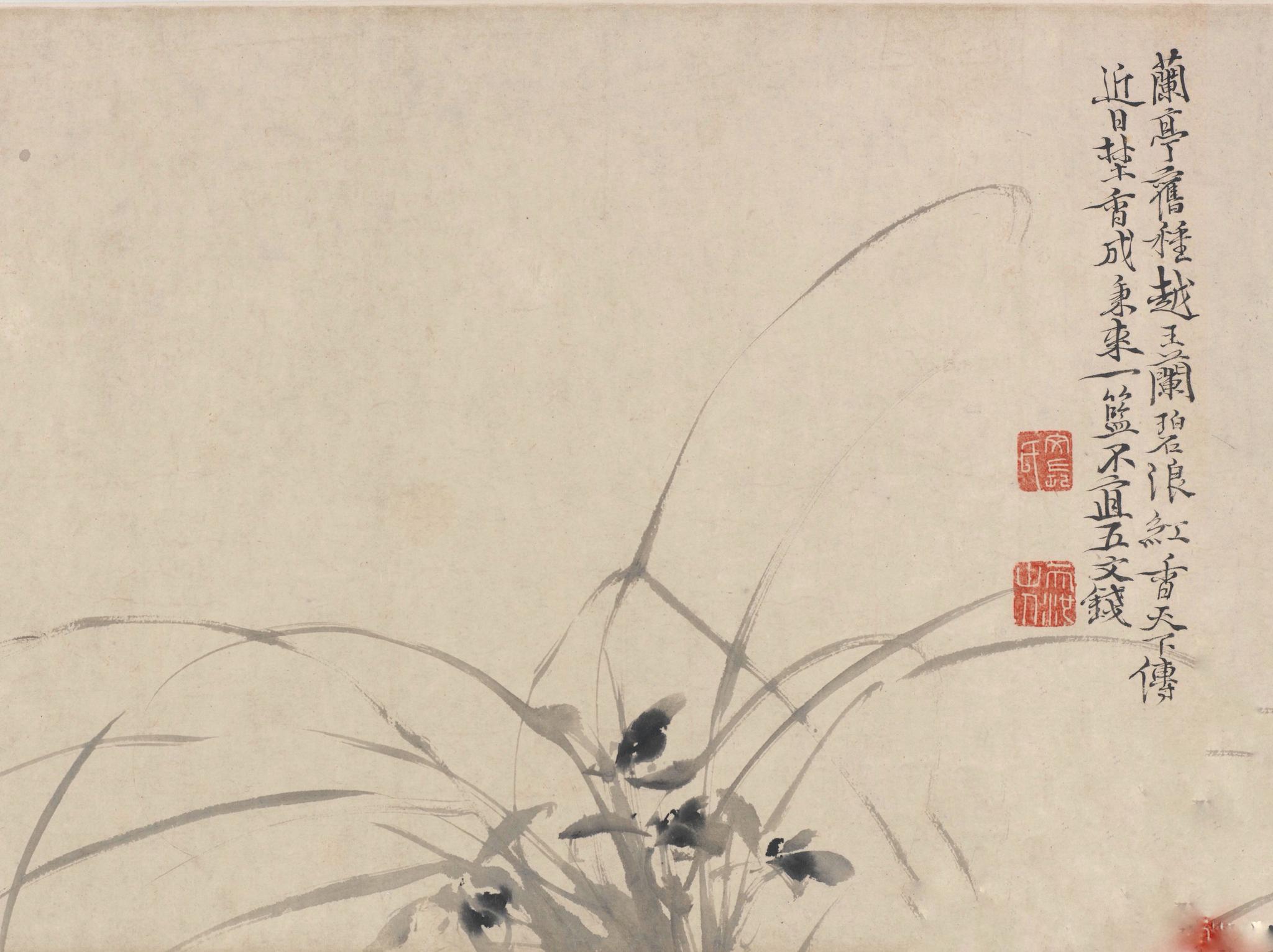 平生只为花低头丨徐渭花卉卷