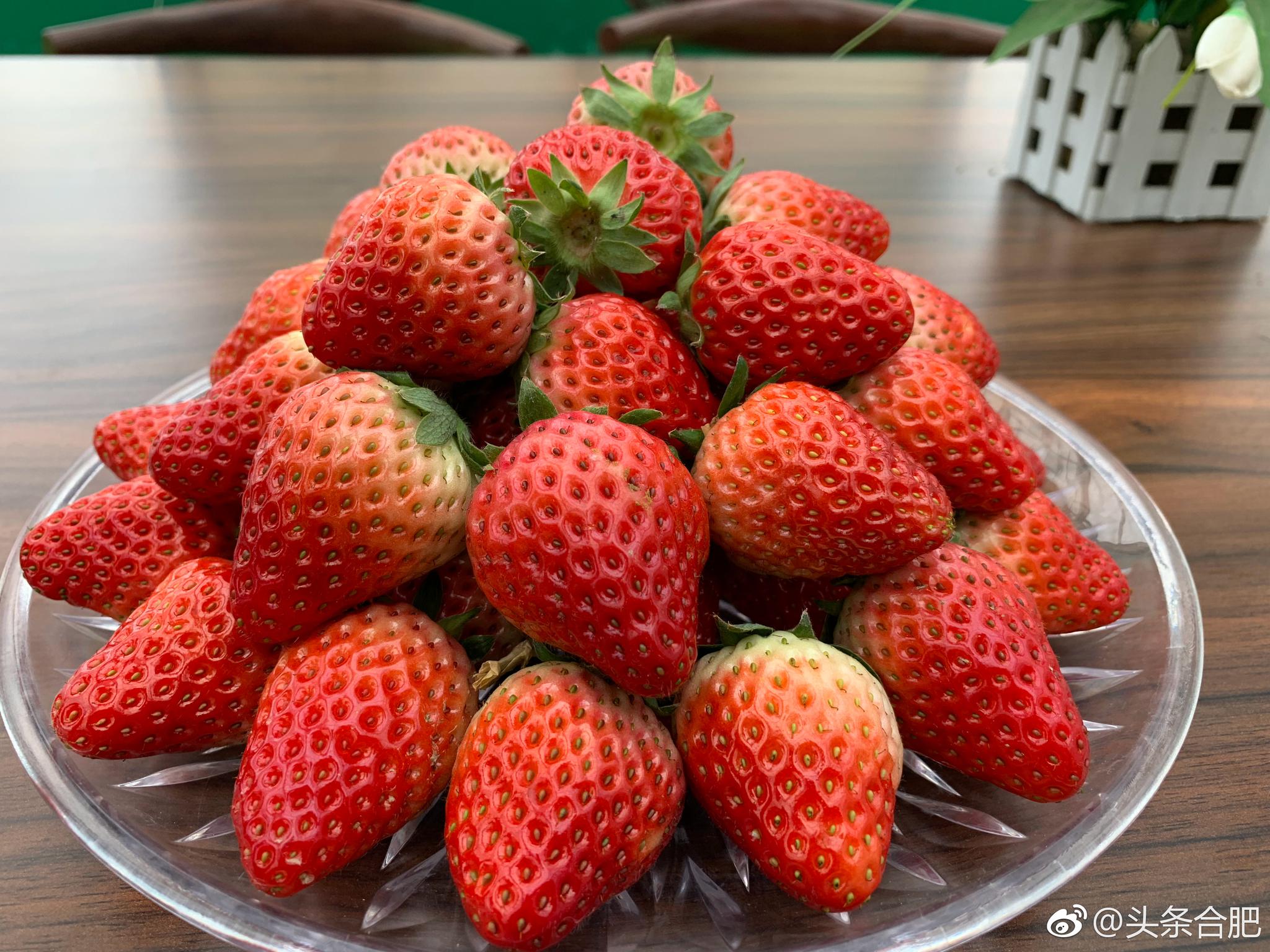 合肥长丰草莓图片