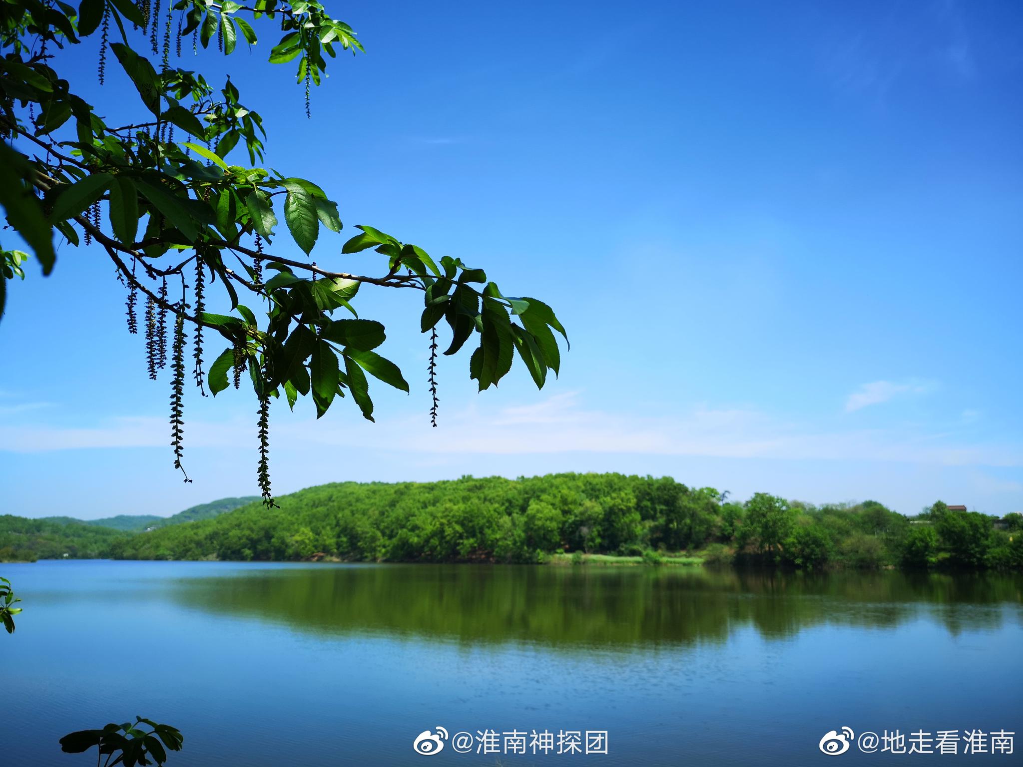 我一直觉得蔡家岗这边的卧龙山风景区挺可惜的