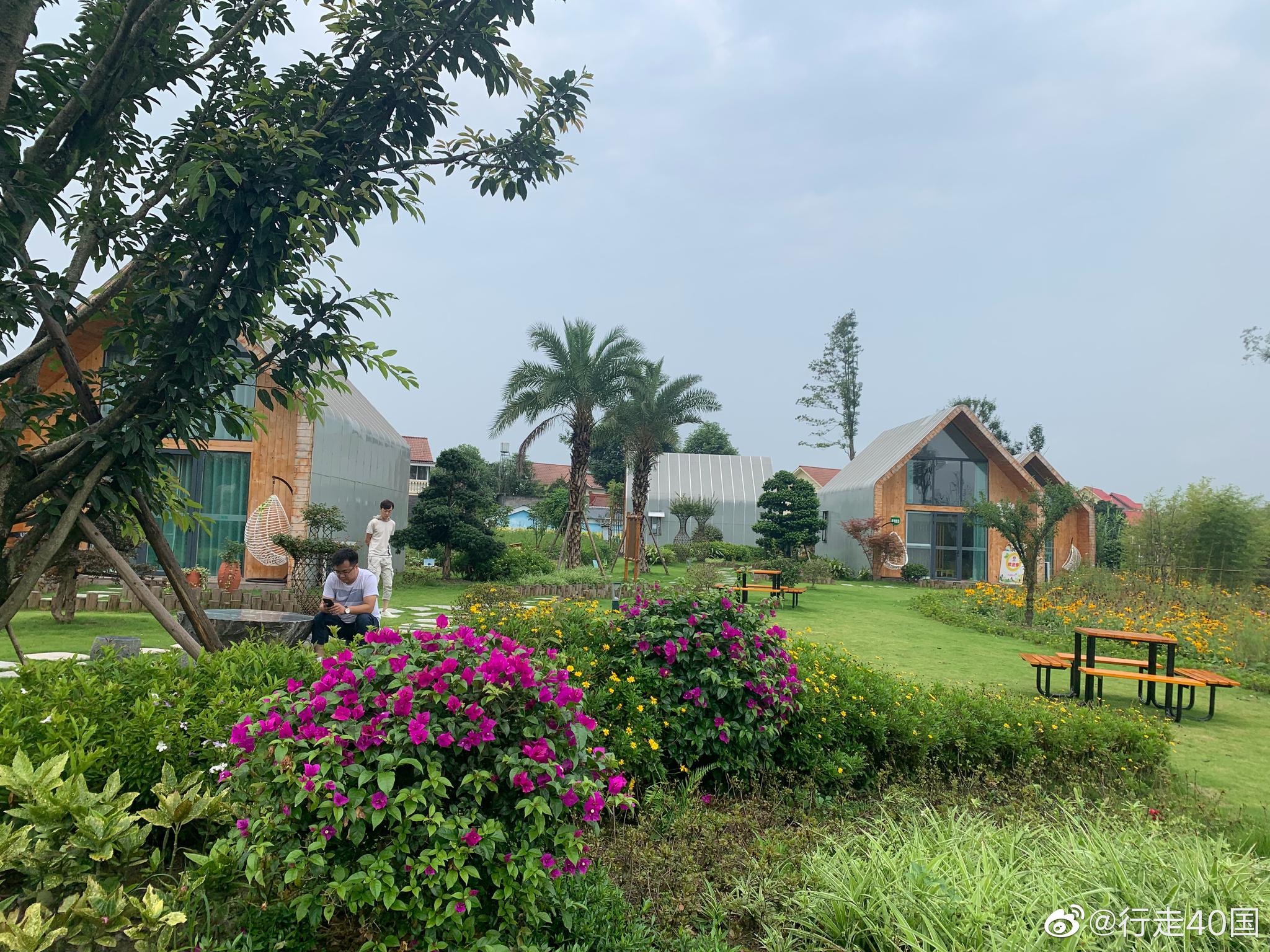 如果周末你带小朋友去城郊认识植物|吃火锅|天府|庄园_新浪新闻