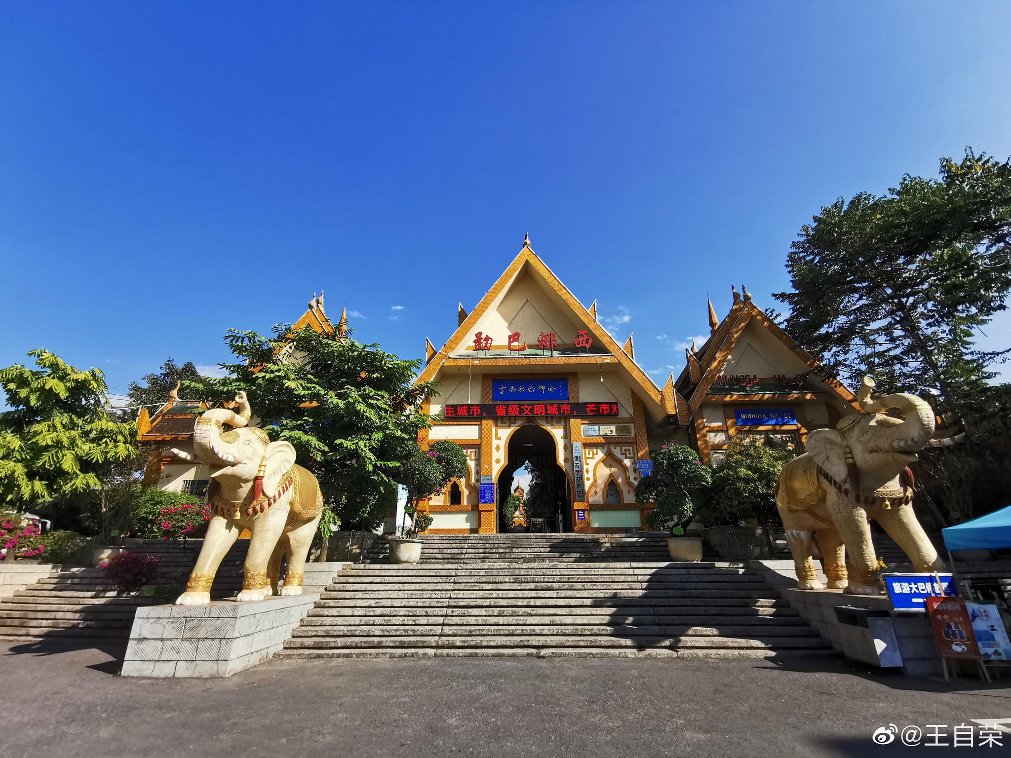 芒市勐巴娜西珍奇园,宝贝实在太多了,树化石随路都是