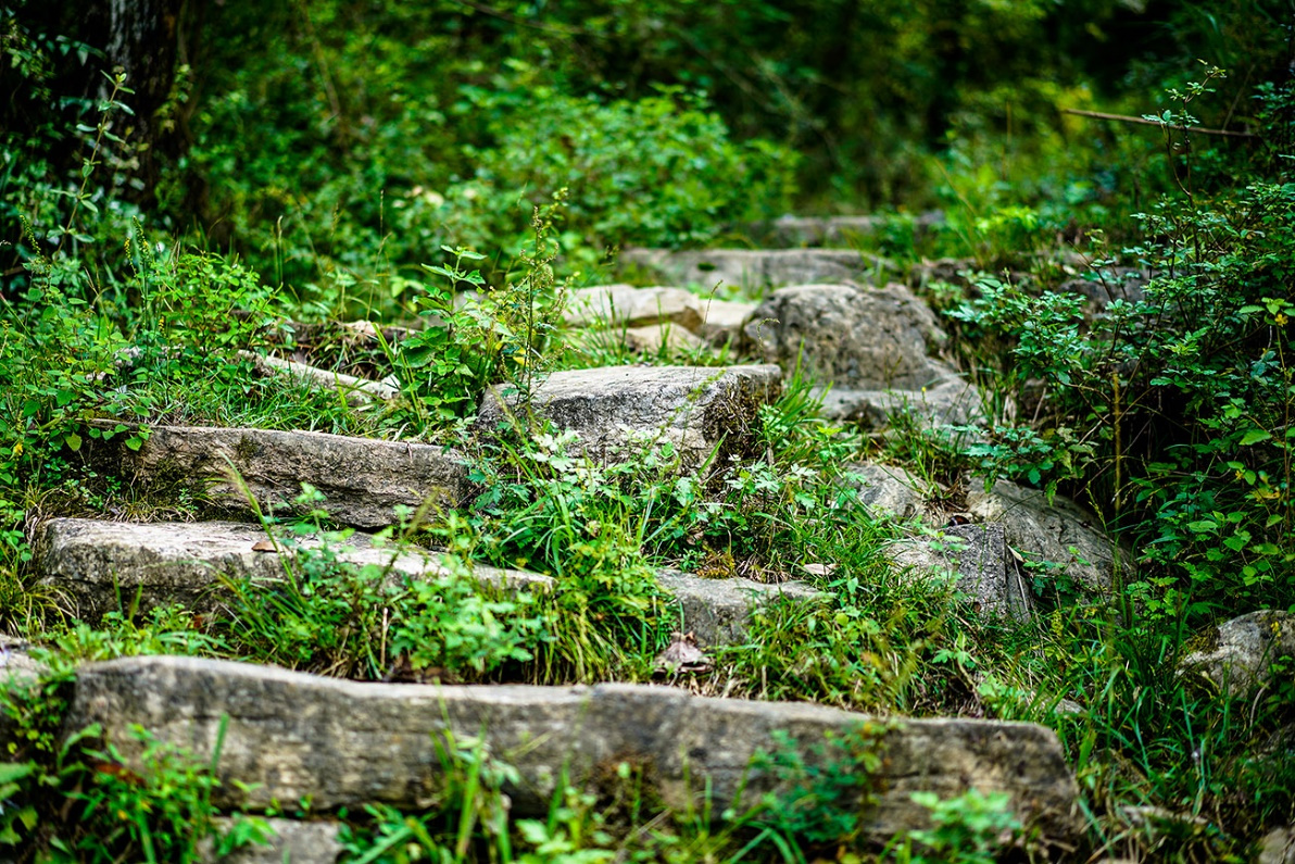 消失的川盐古关被遗忘的龚龙古道