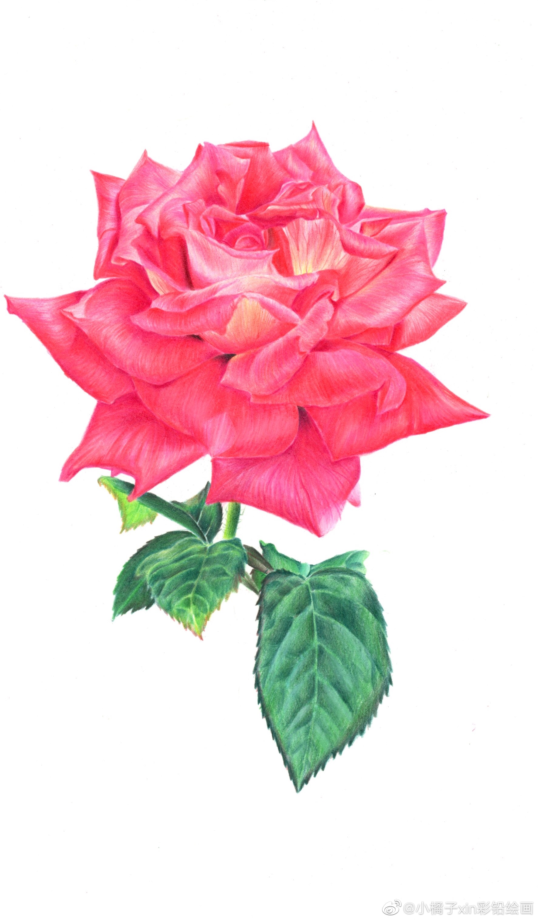 520手绘时光集我爱彩铅画