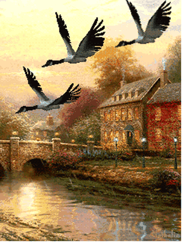 最美的山水风景动态图,人间天堂