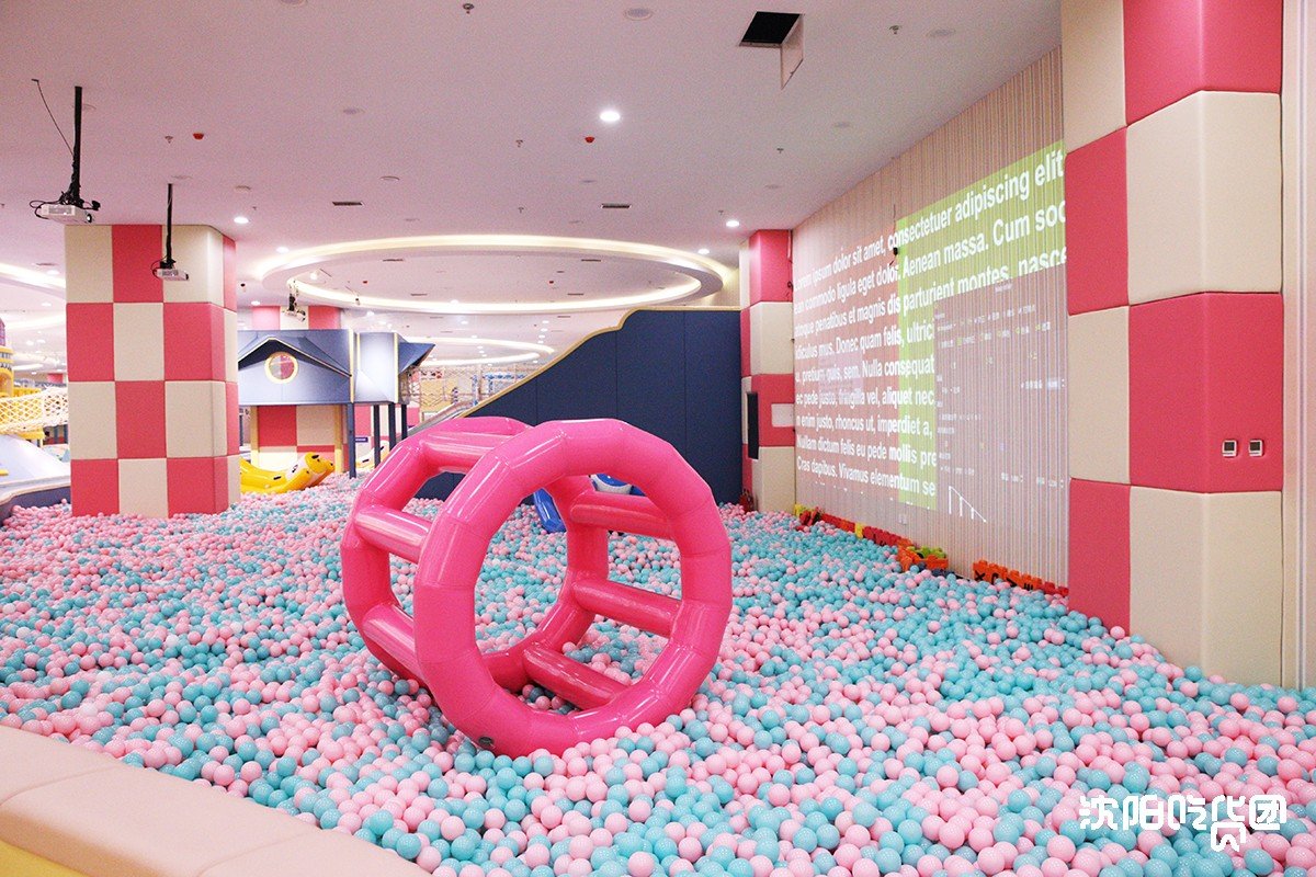1500平方米的超大海洋球池;近万平的电玩世界;东北最大的蹦床群落